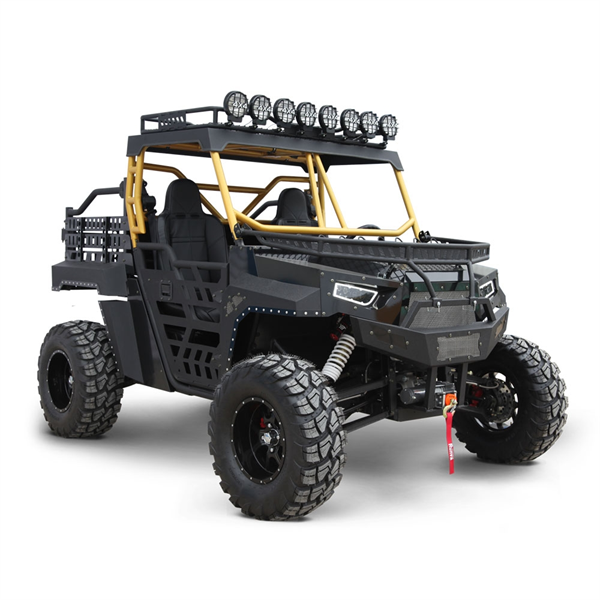 UTV4X4,1000CC 2SEATS-USD8500