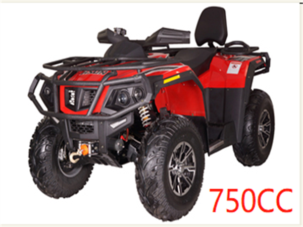 ATV 4X4 GASOLINE CAR(700CC/750CC:USD12300)